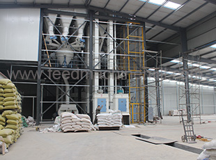 Automatic Poultry feed plant